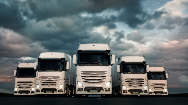 How to find a reliable haulage company?